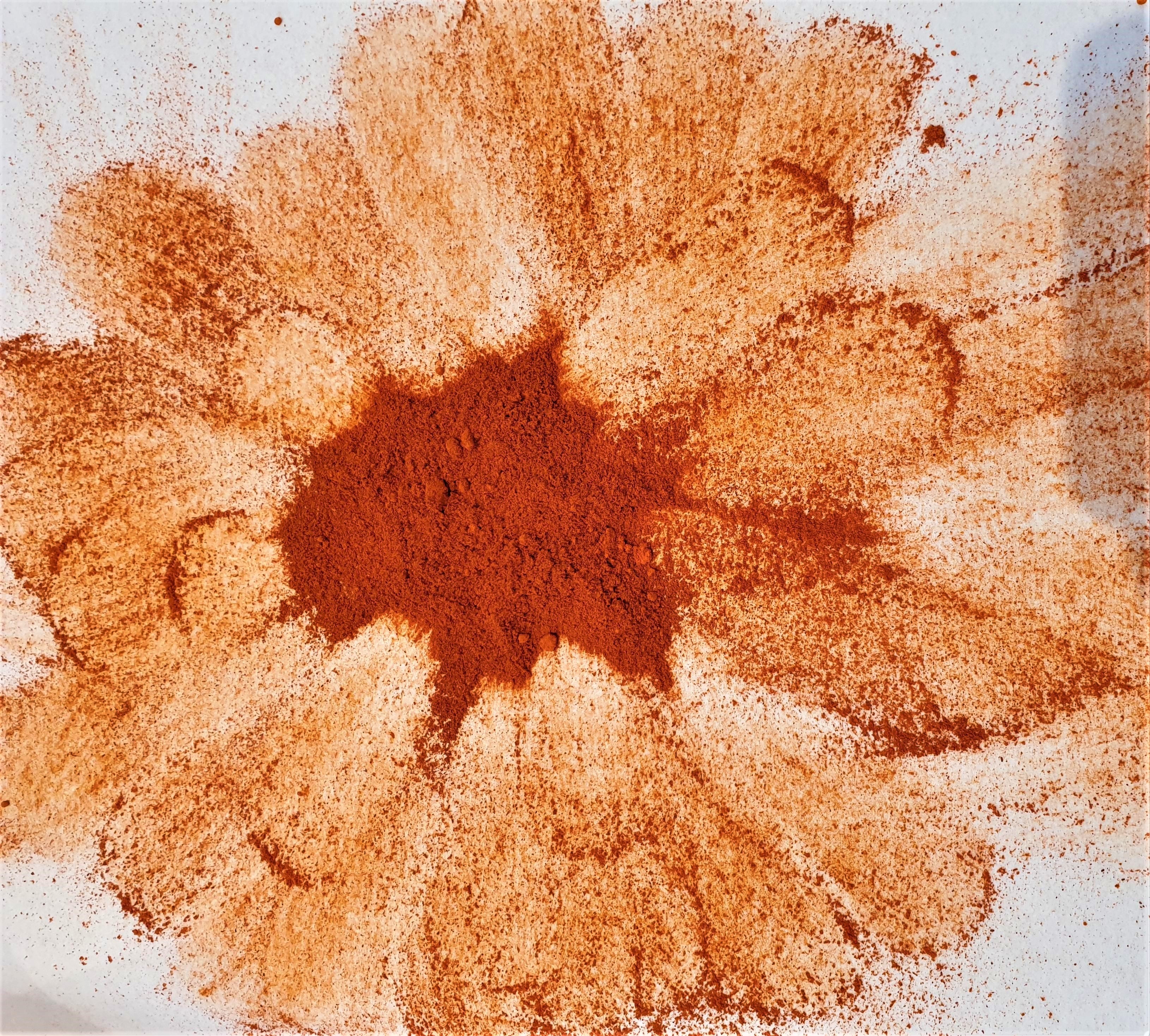 Safran poudre BIO 1 gr