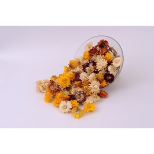 Camomille 50 Gr